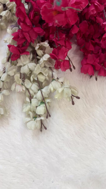 Khadi Viscose  Budget Border  Sarees